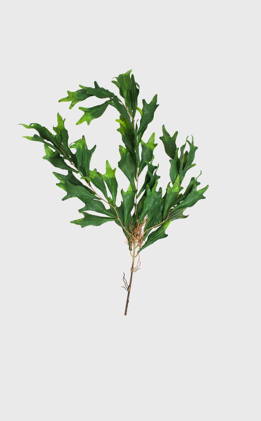 Faux Oak Branch