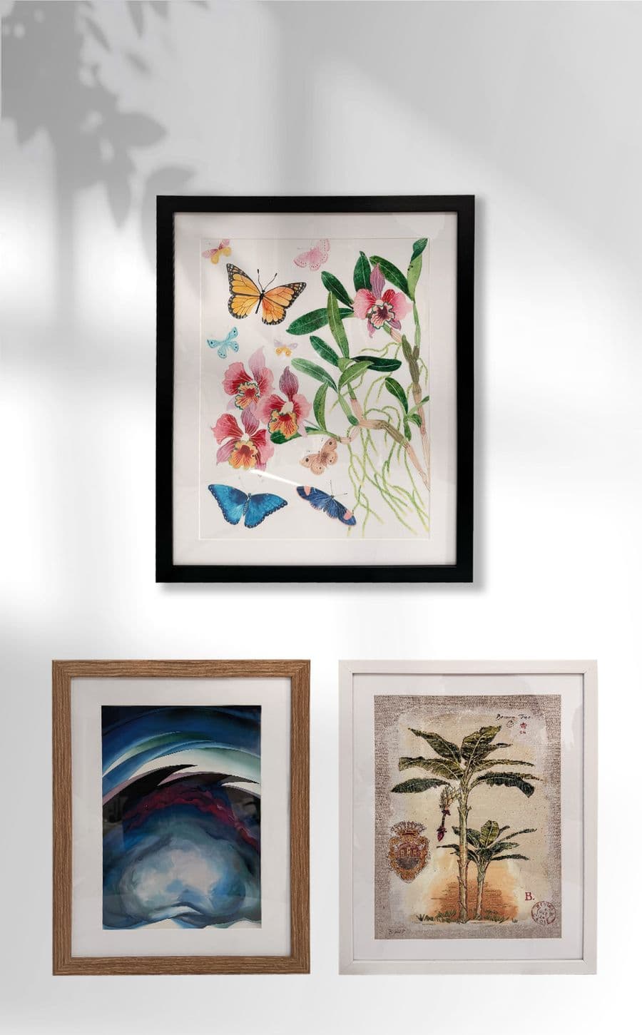 The Gallery Frame Md