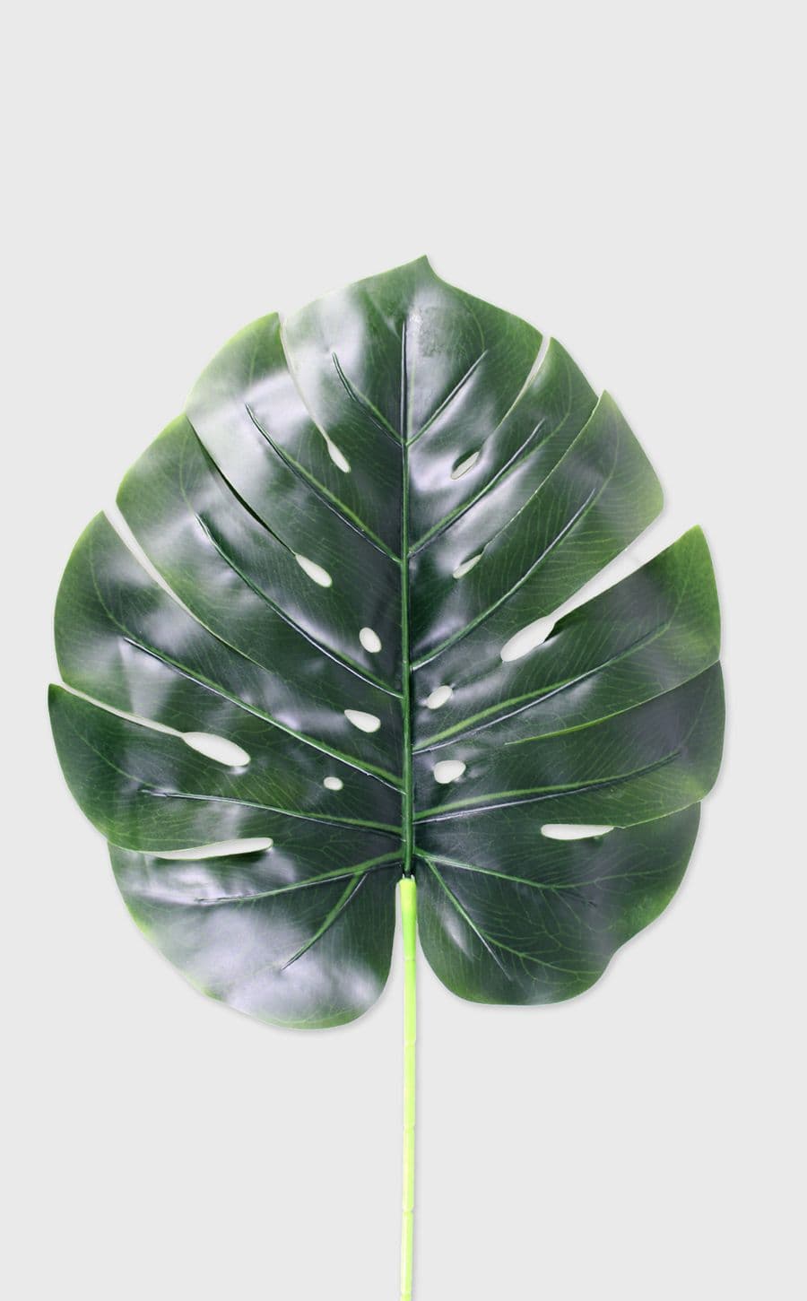 Monstera Leaf Large