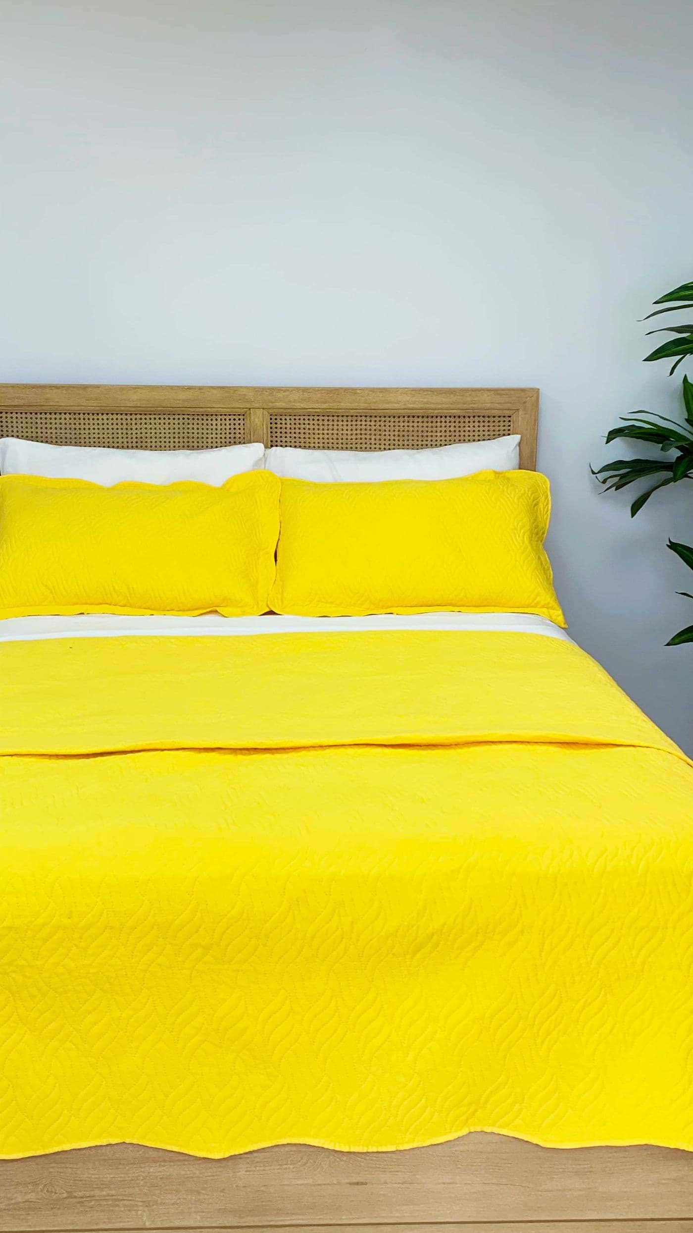 King Hampton Coverlet